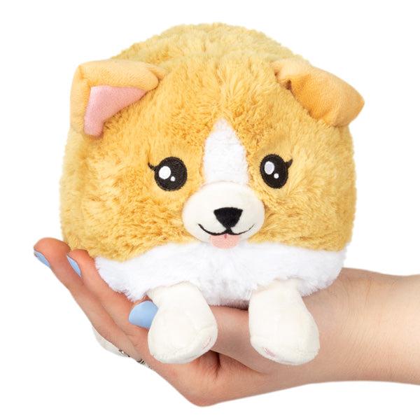 Baby Corgi Snacker