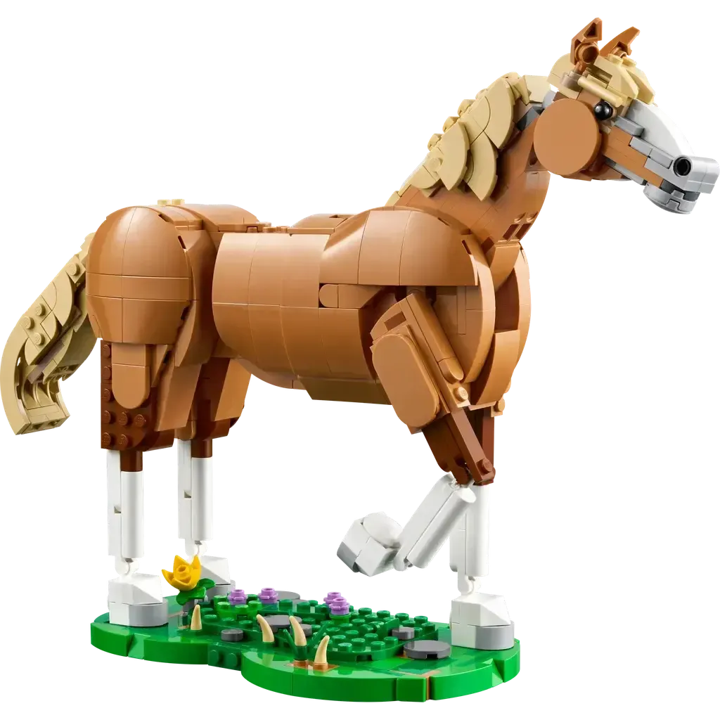 Beautiful Horse