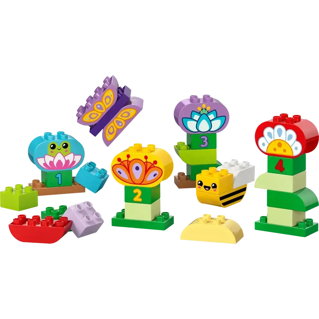 Creative Garden & Flowers
