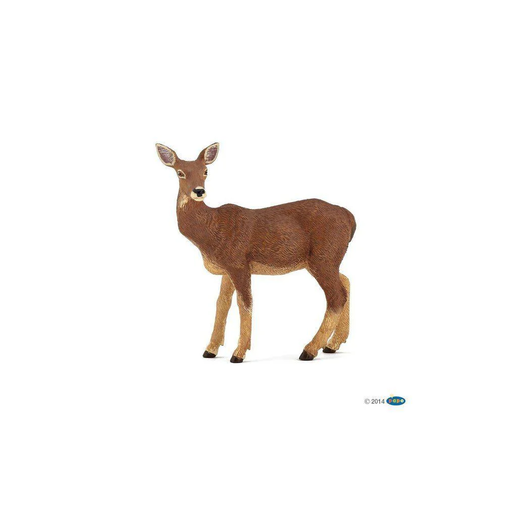 Doe