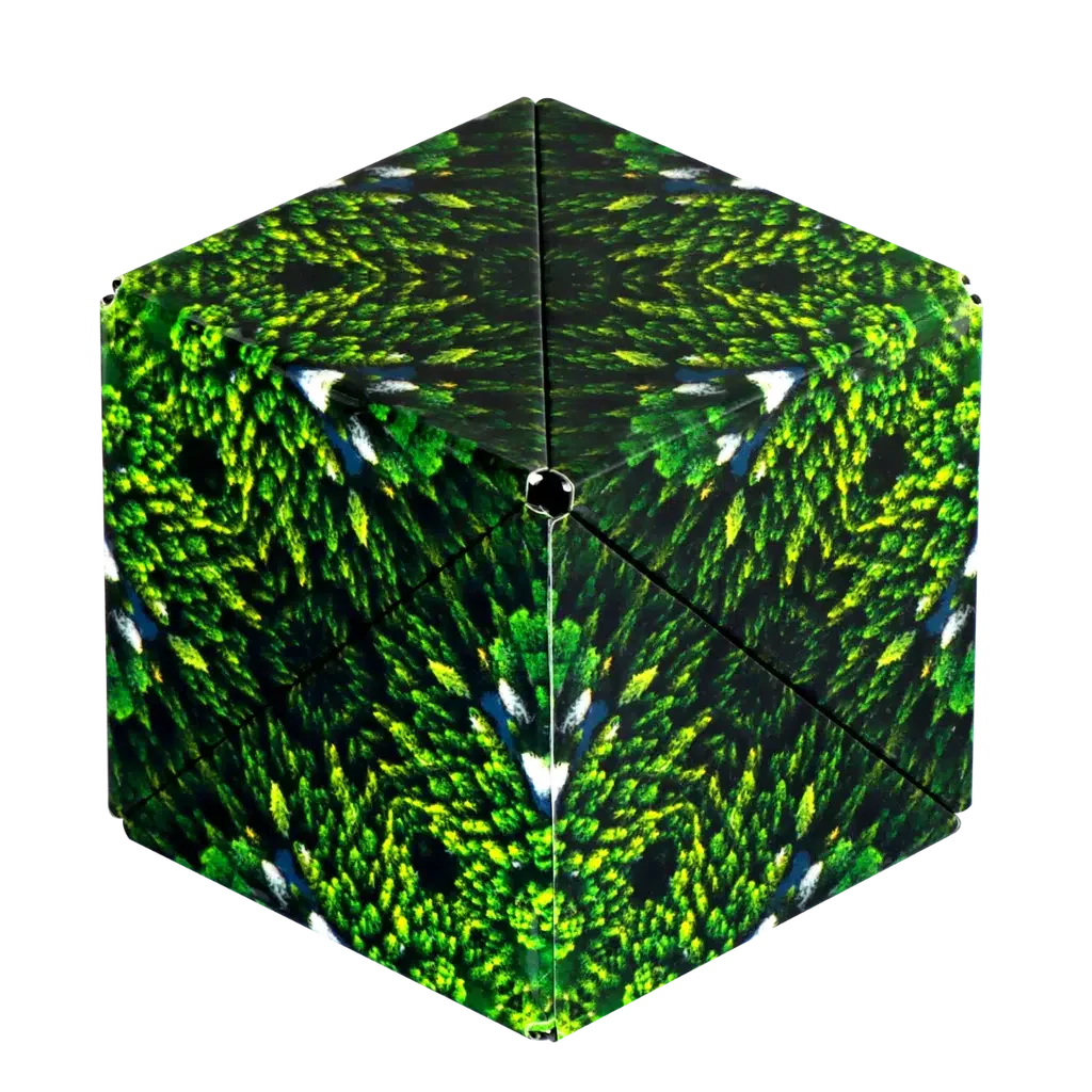 Forest Shashibo