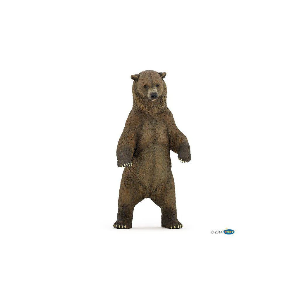 Grizzly Bear