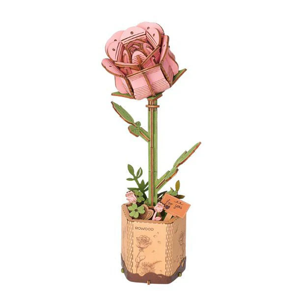Pink Rose